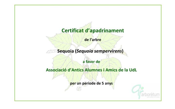 1-certificat apadrinar sequoia 2016-2