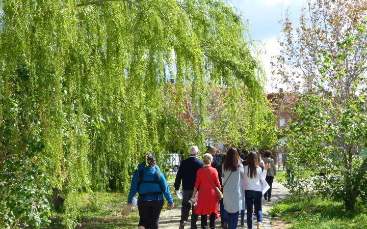 5-arborc3a8tum-2016-abril-17